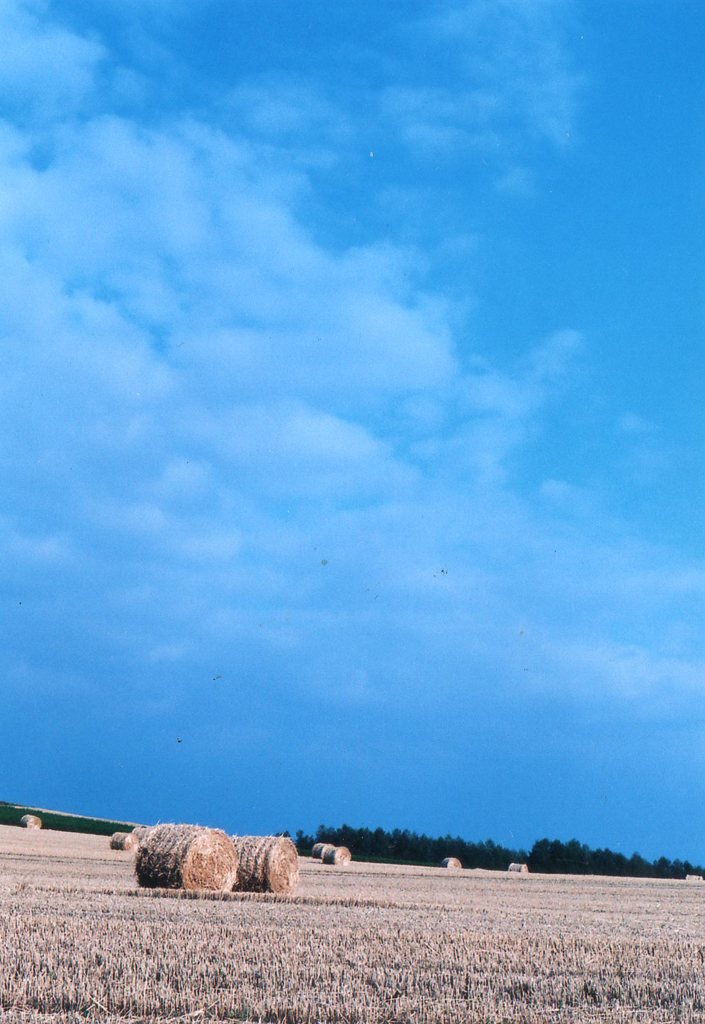 大空の下で