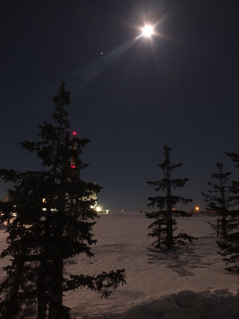 月あかりの下で