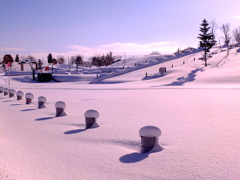 雪の公園