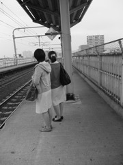まだ来ないよ