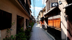 京都の恋