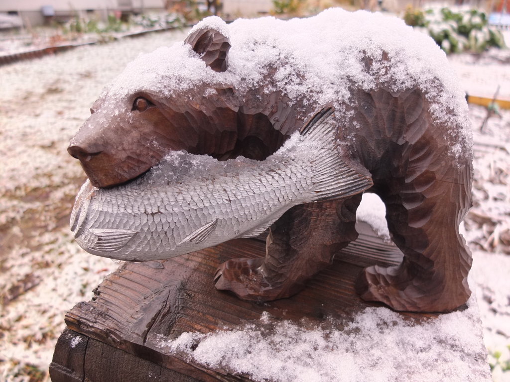 雪にも負けず鮭捕りだ