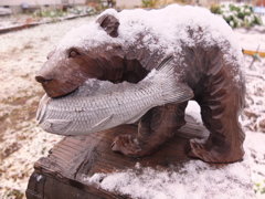 雪にも負けず鮭捕りだ