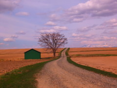 春の緑の小屋 春の緑の小屋