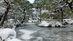 京の池にも冬模様