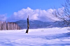 糠平湖