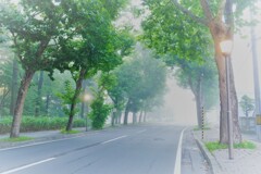朝霧のロマンチック街道