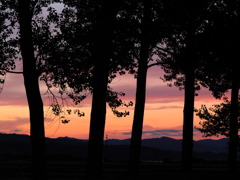 夕陽に魅せられて