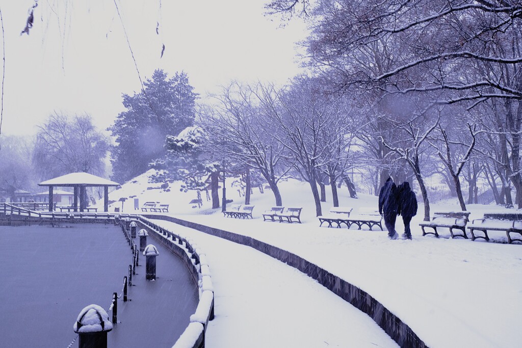 雪を歩く