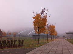 霧の公園１