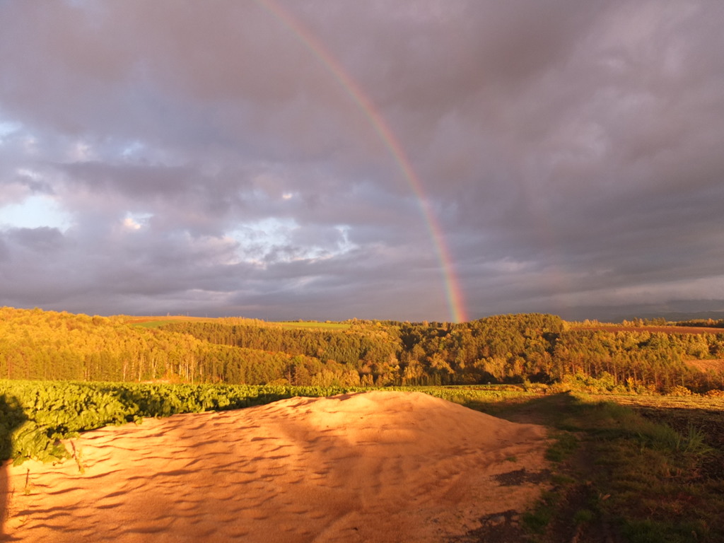 ダブルレインボー2