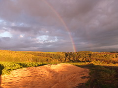 ダブルレインボー2