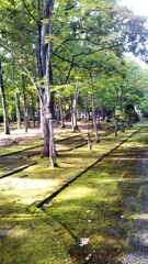 雨上がりの小路