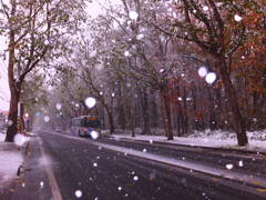 雪の降る街、ロマンチック街道に雪が