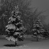 雪の夜
