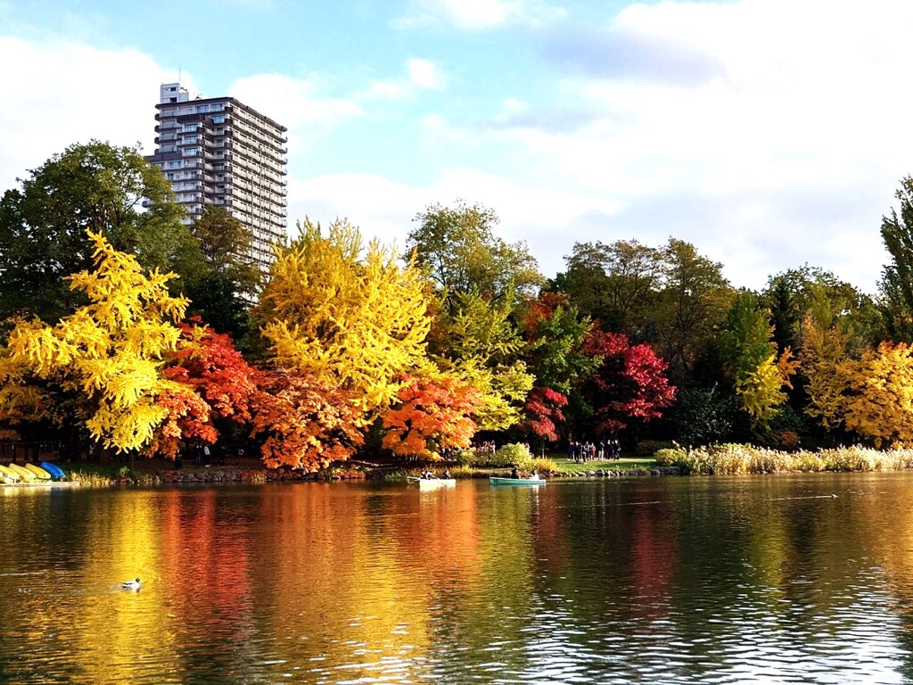 街中の紅葉