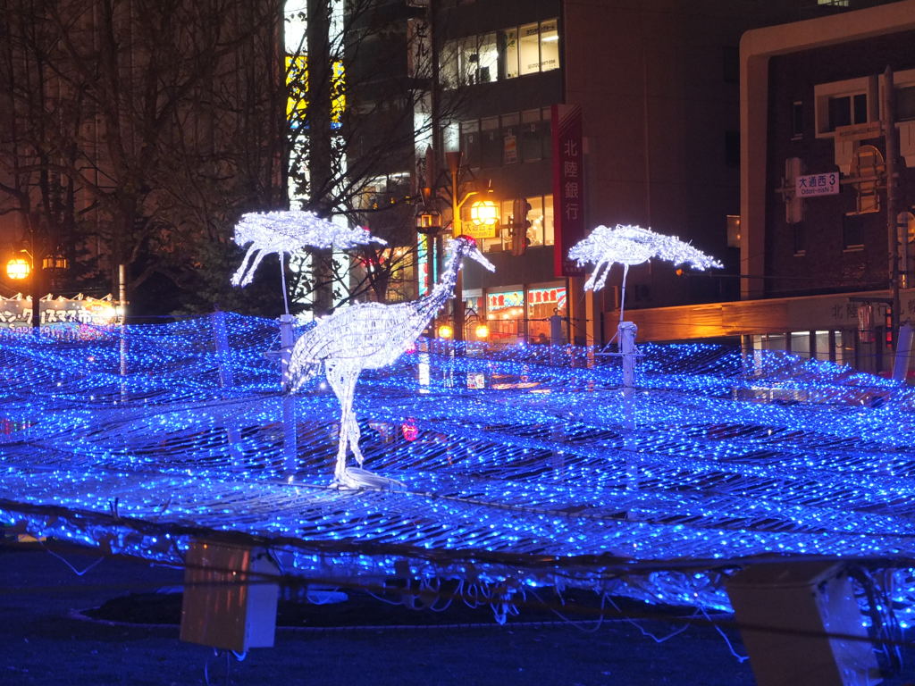 今年も飛来したか