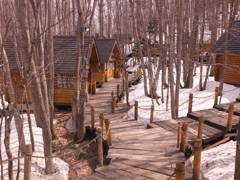 ニングルテラス１