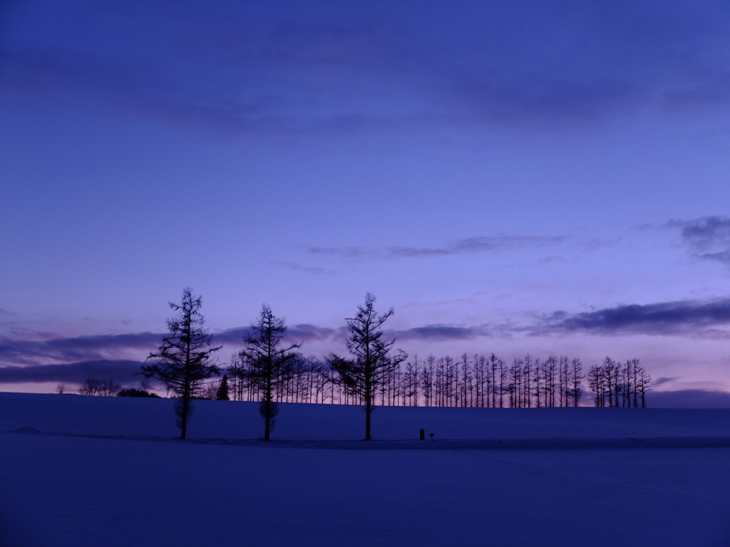 マイルドセブン