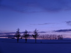 マイルドセブン マイルドセブン