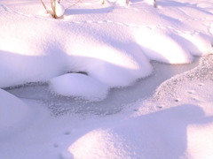 川辺のやすらぎ２