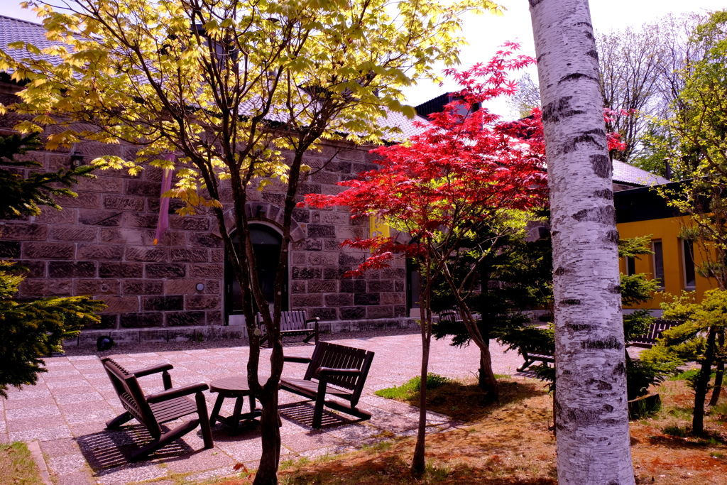 丘の上の菓子店