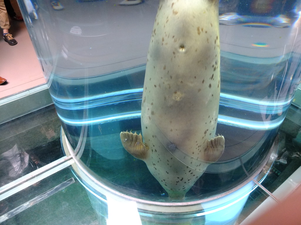 思い出の旭山動物園１