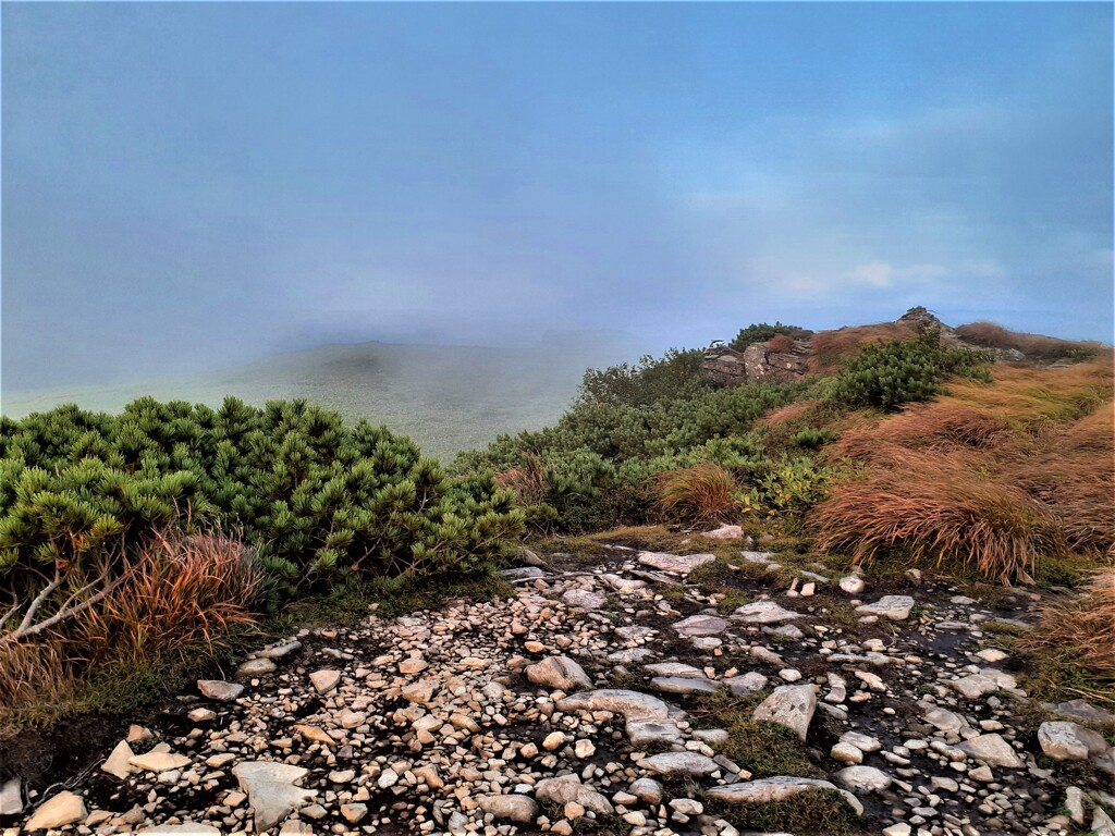 美深の山中より　函岳頂上付近