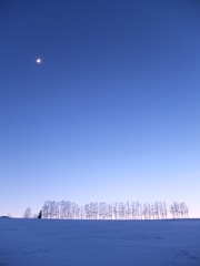 セブンスターの夕刻１