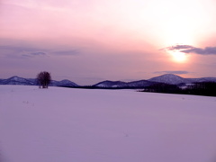 雪原に思うこと