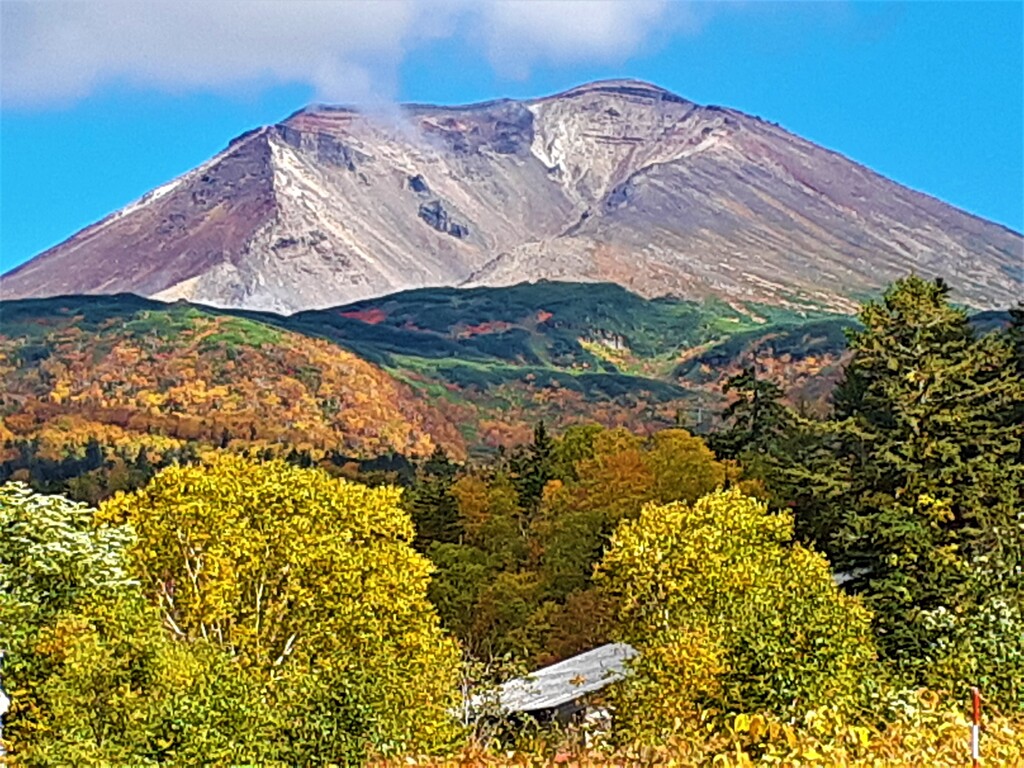 秋を見つけに