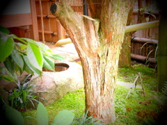 水の音 水の音