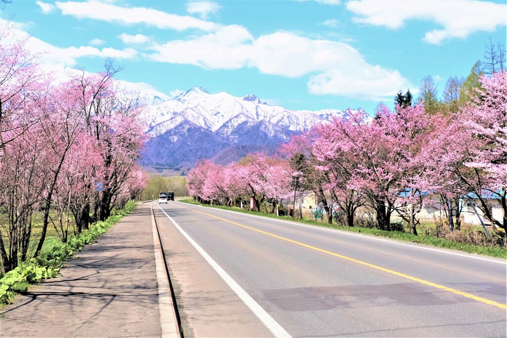 春を呼ぶ