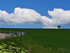 雲の元まで