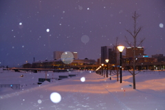 冬の北彩都ガーデン 冬の北彩都ガーデン