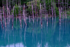 青い池
