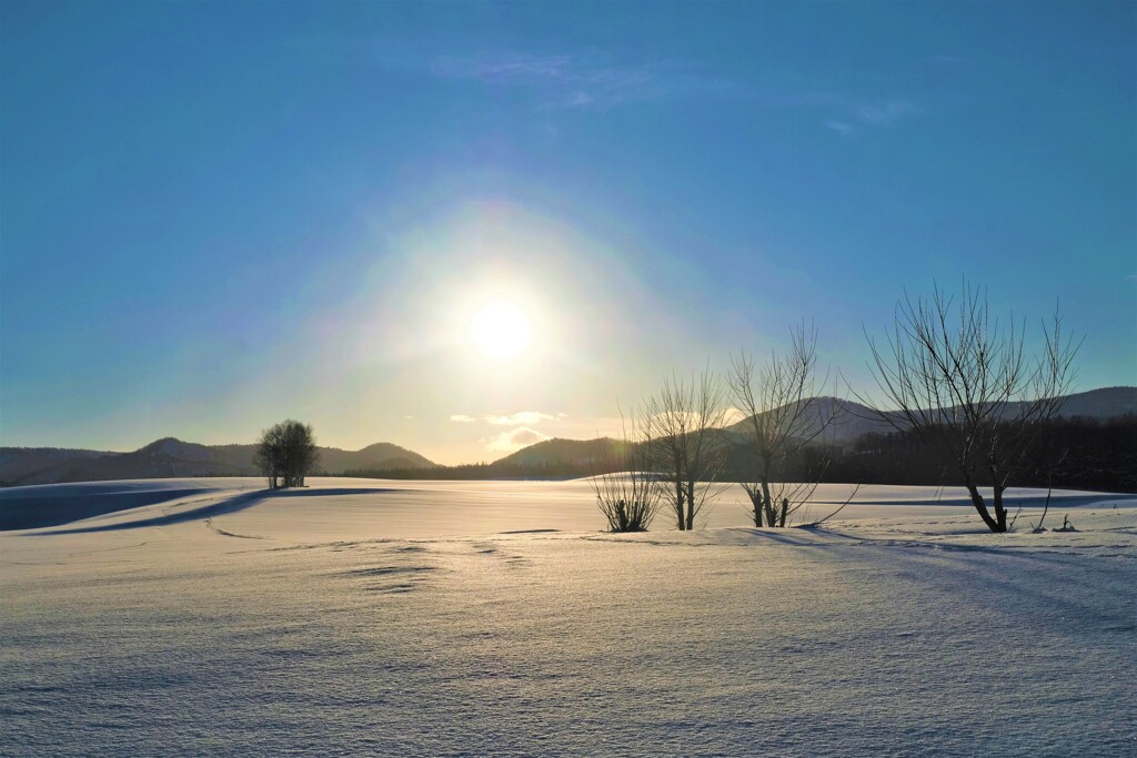 雪原の太陽