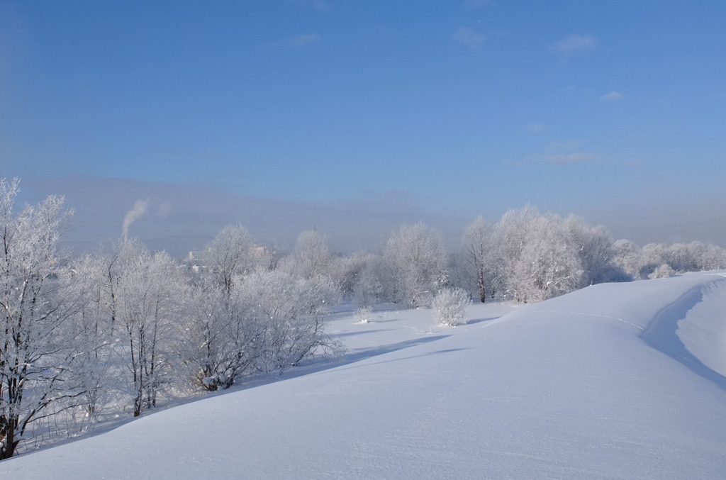 マイナス２１度の朝2