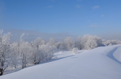 マイナス２１度の朝2