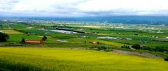 富良野盆地