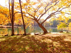 あそこまで行って見よう