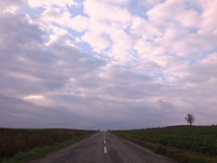今日は晴れるかな