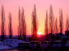 駐車場から 駐車場から