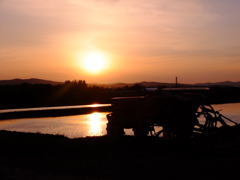 田のかがやき１