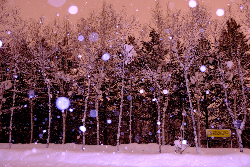 車が去った駐車場