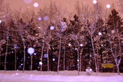 車が去った駐車場