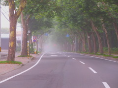 霧のロマンッチク街道