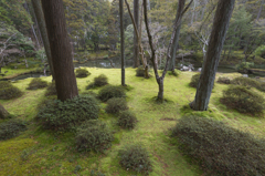 苔寺