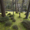 苔寺