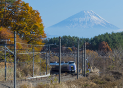 あずさと富士山